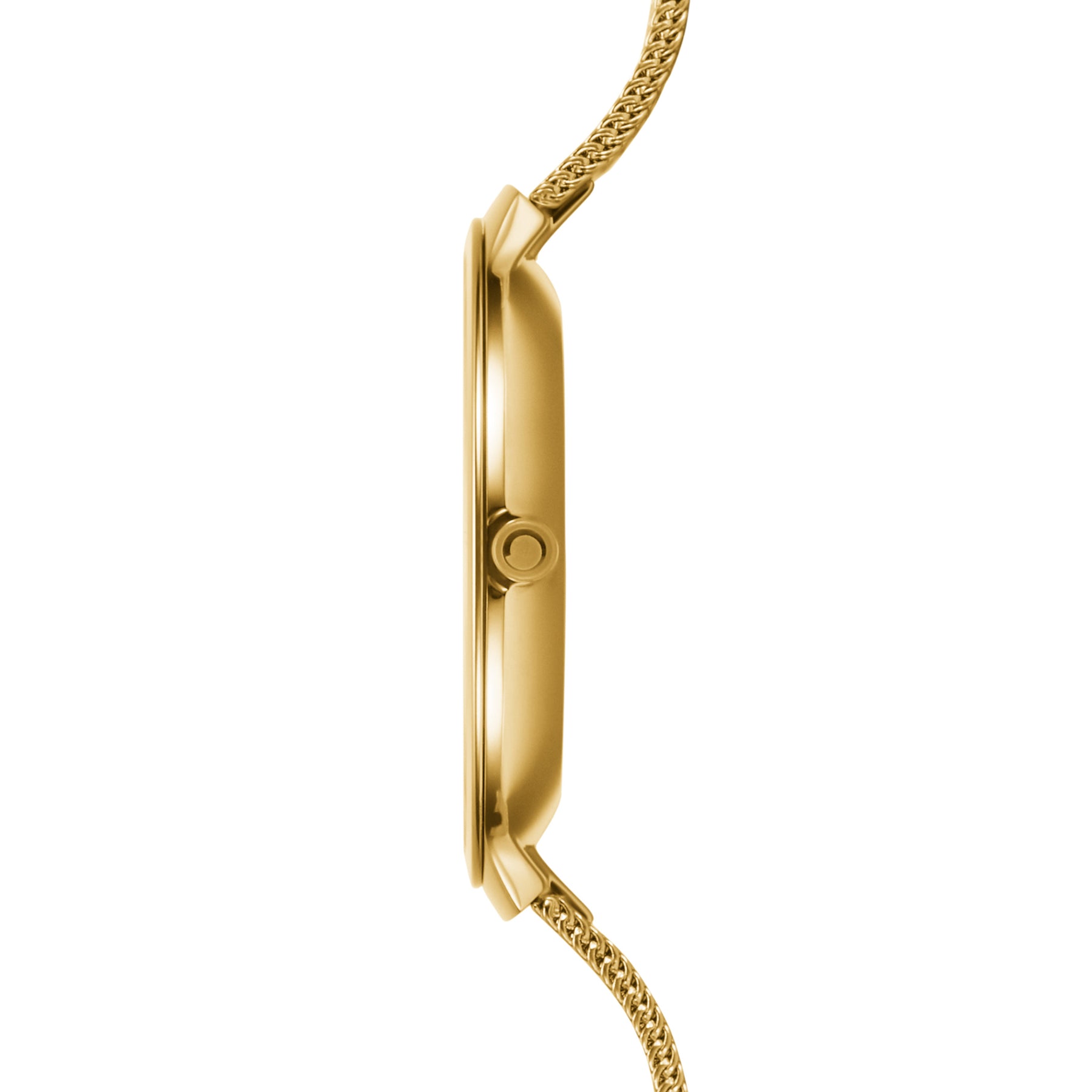 ARK LILLE - GOLD