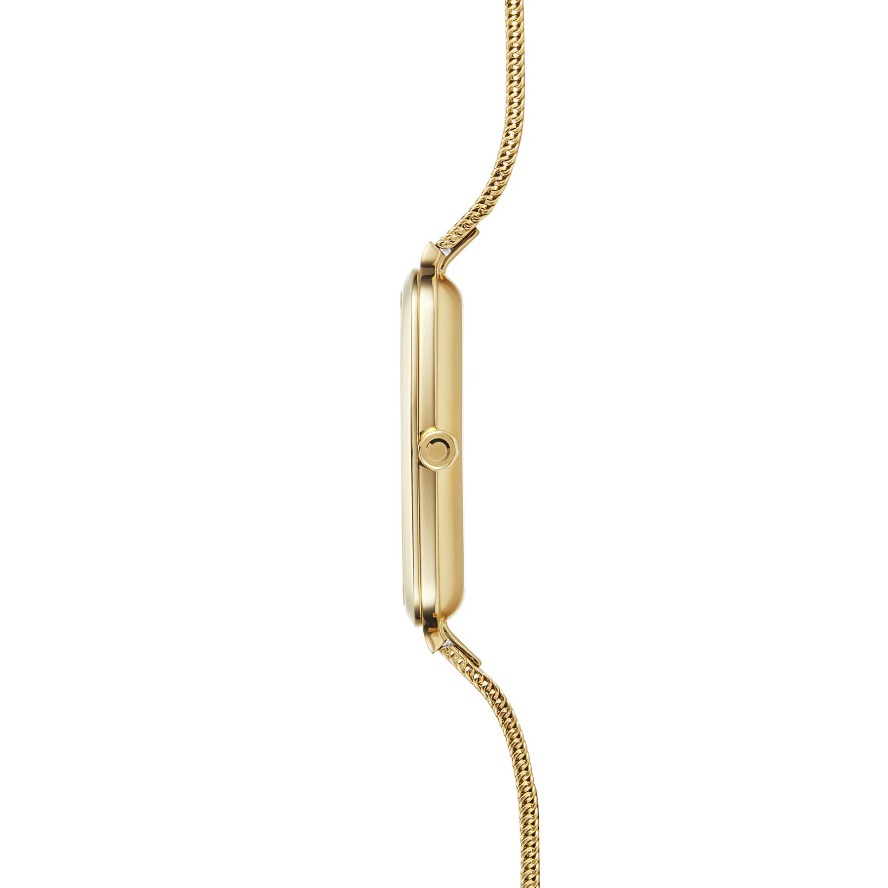 TERN LILLE - GOLD