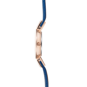 SIV - NAVY