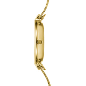 BIRK - GOLD