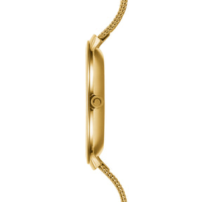 ARK LILLE - GOLD